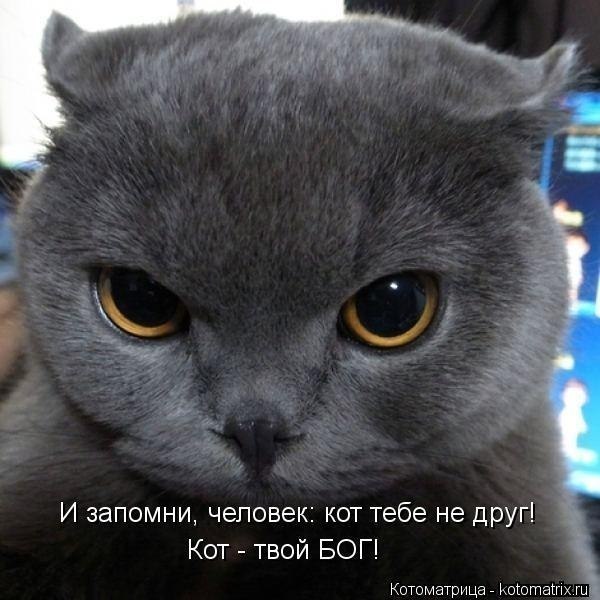       - 9  2014  16:04