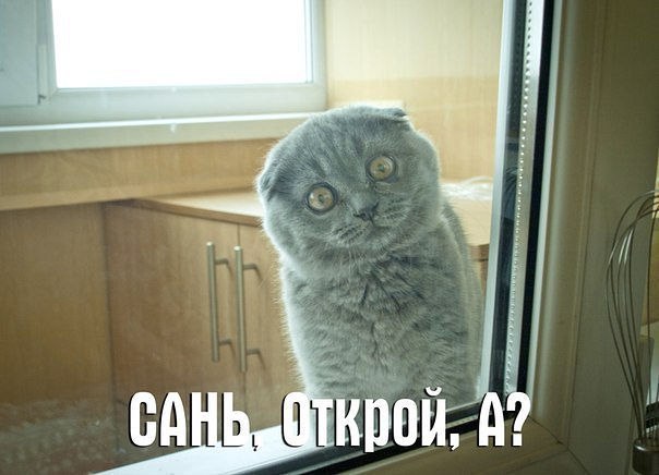     <a href=