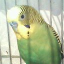 ���� �����, ������, 69 ��� - ��������� 31 ������� 2014 � ������ ���� ������