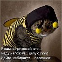 ���� �����, �������, 32 ���� - ��������� 3 ������� 2014 � ������ �����