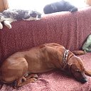 ���� ��������, ������, 56 ��� - ��������� 19 �������� 2014 � ������ ���� ����������