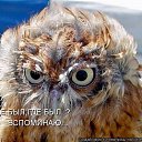 ���� ��������, ����������, 68 ��� - ��������� 27 �������� 2014 � ������ ������ ��������