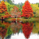 ���� �������, ���������, 46 ��� - ��������� 28 ������� 2014 � ������ ������ ��������