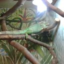 ���� ������, ������, 54 ���� - ��������� 8 �������� 2014 � ������ ��������