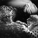 ���� ����, �����, 45 ��� - ��������� 23 ������ 2014 � ������ �)�