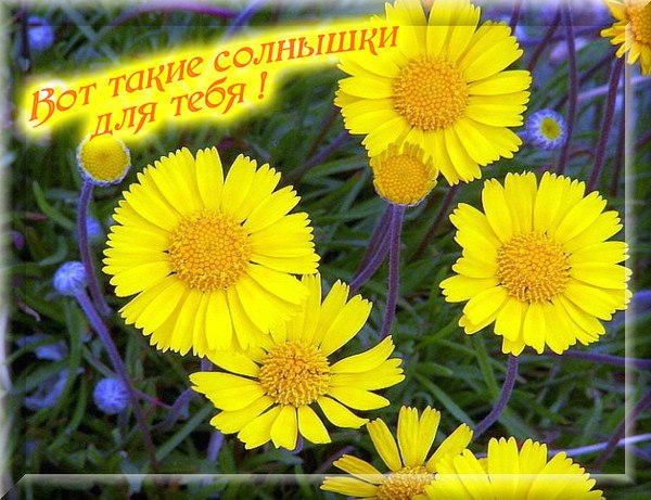 ...[a]_voe_so Le... - 30  2014  10:07