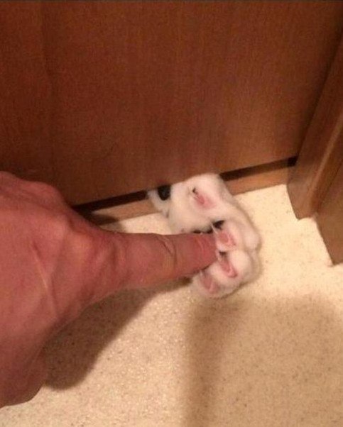    - 2