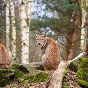  , , 40  -  5  2014   ***