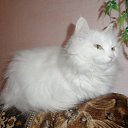 ���� �����, ������� - ��������� 30 �������� 2014 � ������ ���� ����������