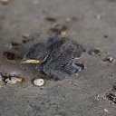 ���� ������, ���� - ��������� 30 ������� 2014 � ������ ������ ��������