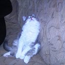 ���� Suat, ������, 68 ��� - ��������� 24 ������ 2014 � ������ ���� ����������