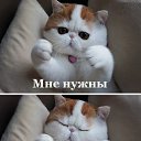  ,  -  2  2014    