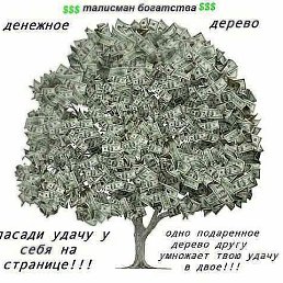 ����, �������, 50 ���