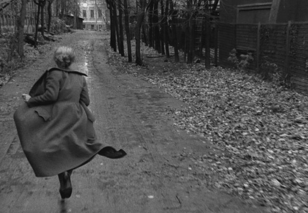  .    , ,  !,     ...