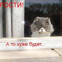 ���� *Tired Of All, ������� - ��������� 14 �������� 2014 � ������ ���� ����������