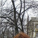 ���� ������, �������, 42 ���� - ��������� 11 �������� 2014 � ������ ���� ����������