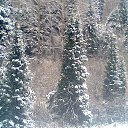 ���� ���������, ����-�����������, 70 ��� - ��������� 5 ������ 2014 � ������ ���� ����������