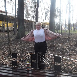 ���� ���������, ���� - ��������� 15 ������ 2014