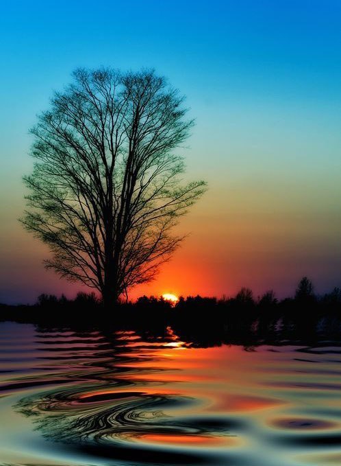 Art & Fun - 27  2014  08:28 - 5