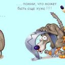 ���� �������, ��������, 41 ��� - ��������� 16 �������� 2014 � ������ ������ ��������