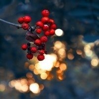 Чем больше в человеке хорошего, тем меньше плохого он замечает в других. - 3