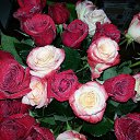  ,  , -, 42  -  8  2014    