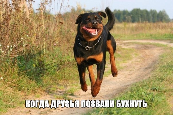    :D - 10  2014  02:03