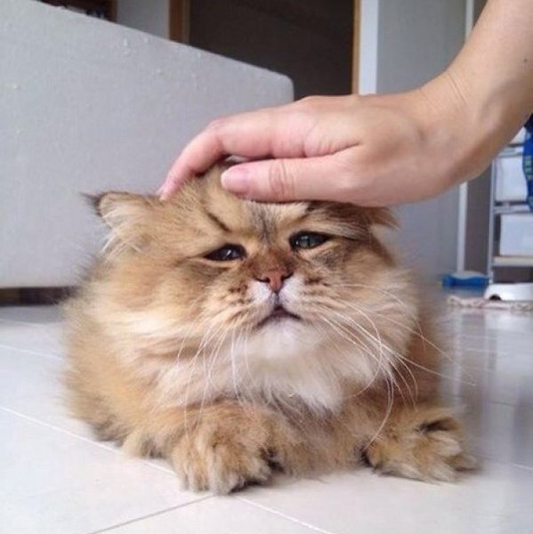      :3