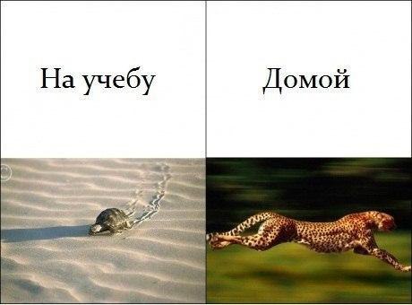   :D - 5  2014  12:32