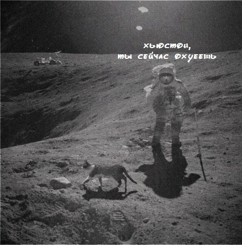 ☆ ☆ - 14  2014  15:06
