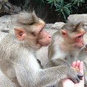 ���� �������, ��������� - ��������� 17 ������ 2014 � ������ ������,���,�����2014�