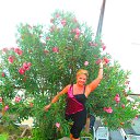  , , 65  -  5  2014      2014