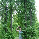 ���� �����, ������, 63 ���� - ��������� 11 ������� 2014 � ������ ���� ����������