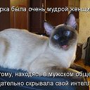 ���� ������, �������� - ��������� 26 ������ 2014 � ������ ���� ����������