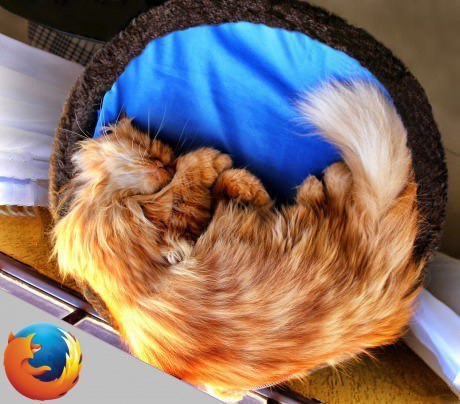 FireCat