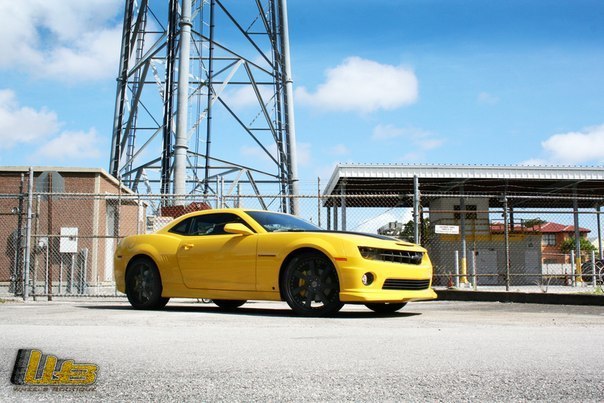 Chevrolet Camaro SS on HRE Wheels - 3