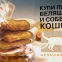 ���� ����, ��������, 51 ��� - ��������� 9 ������� 2014 � ������ ������ ��������