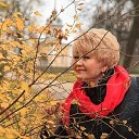  , -, 65  -  27  2014   