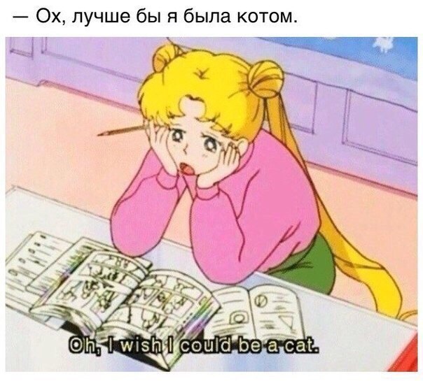  - 26  2014  11:33