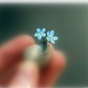 ���� Semih, ������, 66 ��� - ��������� 28 ������� 2014 � ������ ������ ��������