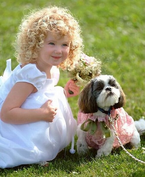 ★   ★ - 13  2014  11:47