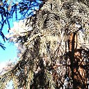 ���� Paul, ������, 34 ���� - ��������� 21 ������ 2014 � ������ ������ ��������