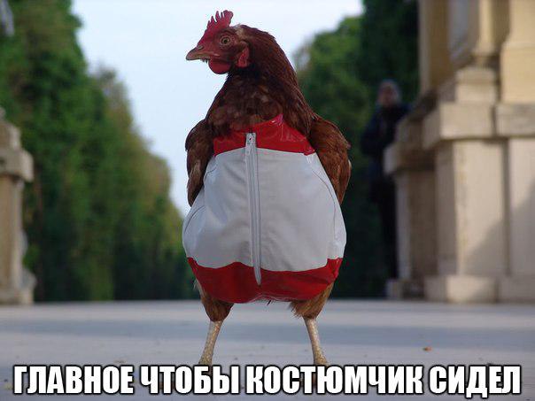   [ORIGINALL] - 17  2014  11:57