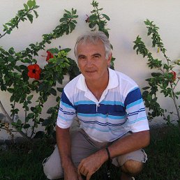 ����, ������, 65 ���