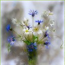 ���� �����, ��������� - ��������� 19 ������� 2014 � ������ ��� �� �����