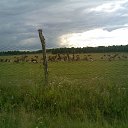 ������ �� ������� ���� ����������