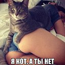 ���� ������, �����������, 48 ��� - ��������� 28 ������� 2014 � ������ ������ ��������