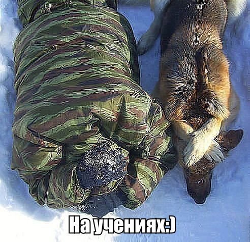 �������������� �� ���: <a href=