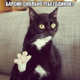 K���� K����� - 26 ������� 2014 � 09:28