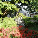  ♥ Fly ♥,  -  24  2014     (  )